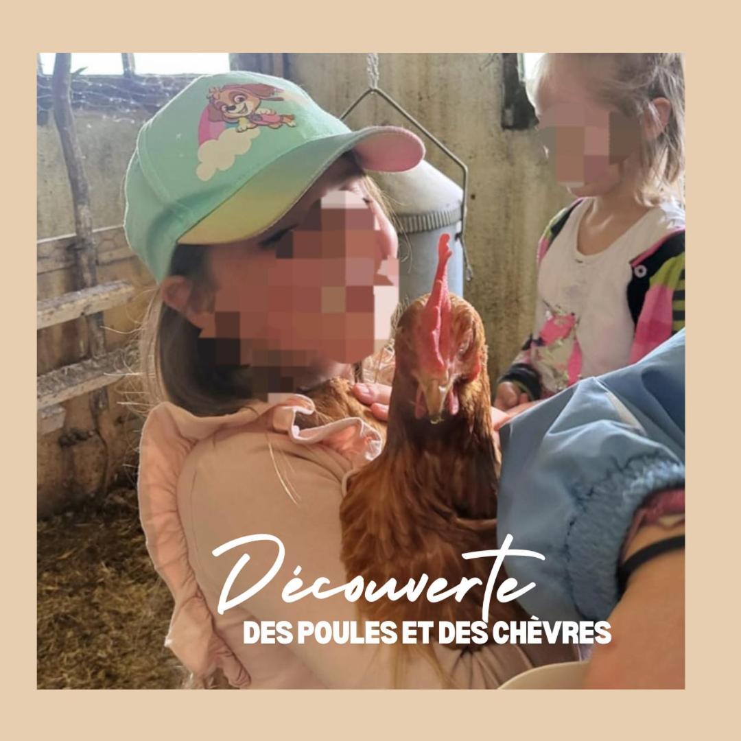Appartamento La Ferme Du Solvat Courcelon Esterno foto