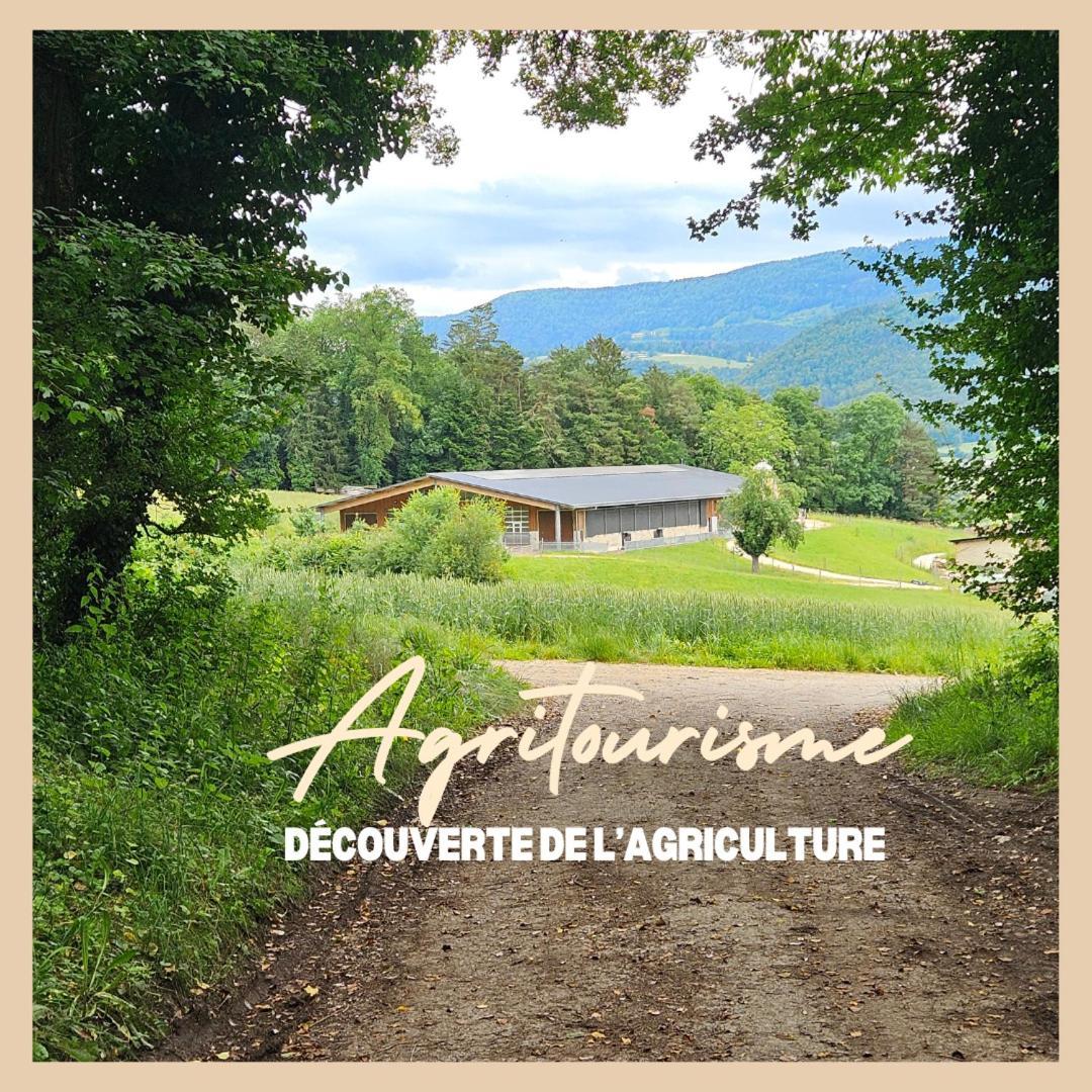 Appartamento La Ferme Du Solvat Courcelon Esterno foto
